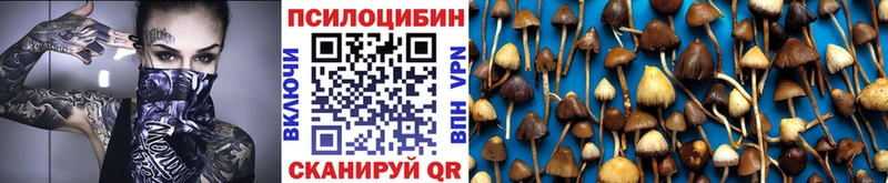 Псилоцибиновые грибы мухоморы  Бор 
